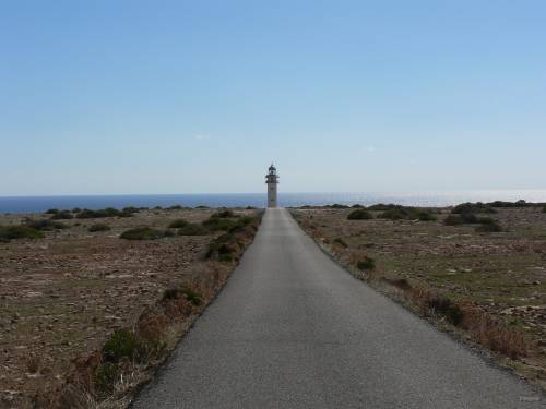 50- Phare du cap de Barbaria 